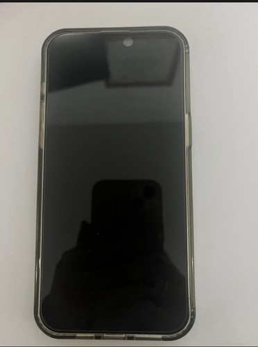 Apple iphone pro max256gb - apple,