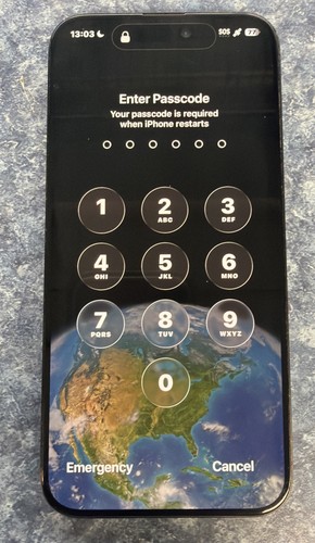 Apple iphone pro max 256gb - 15,